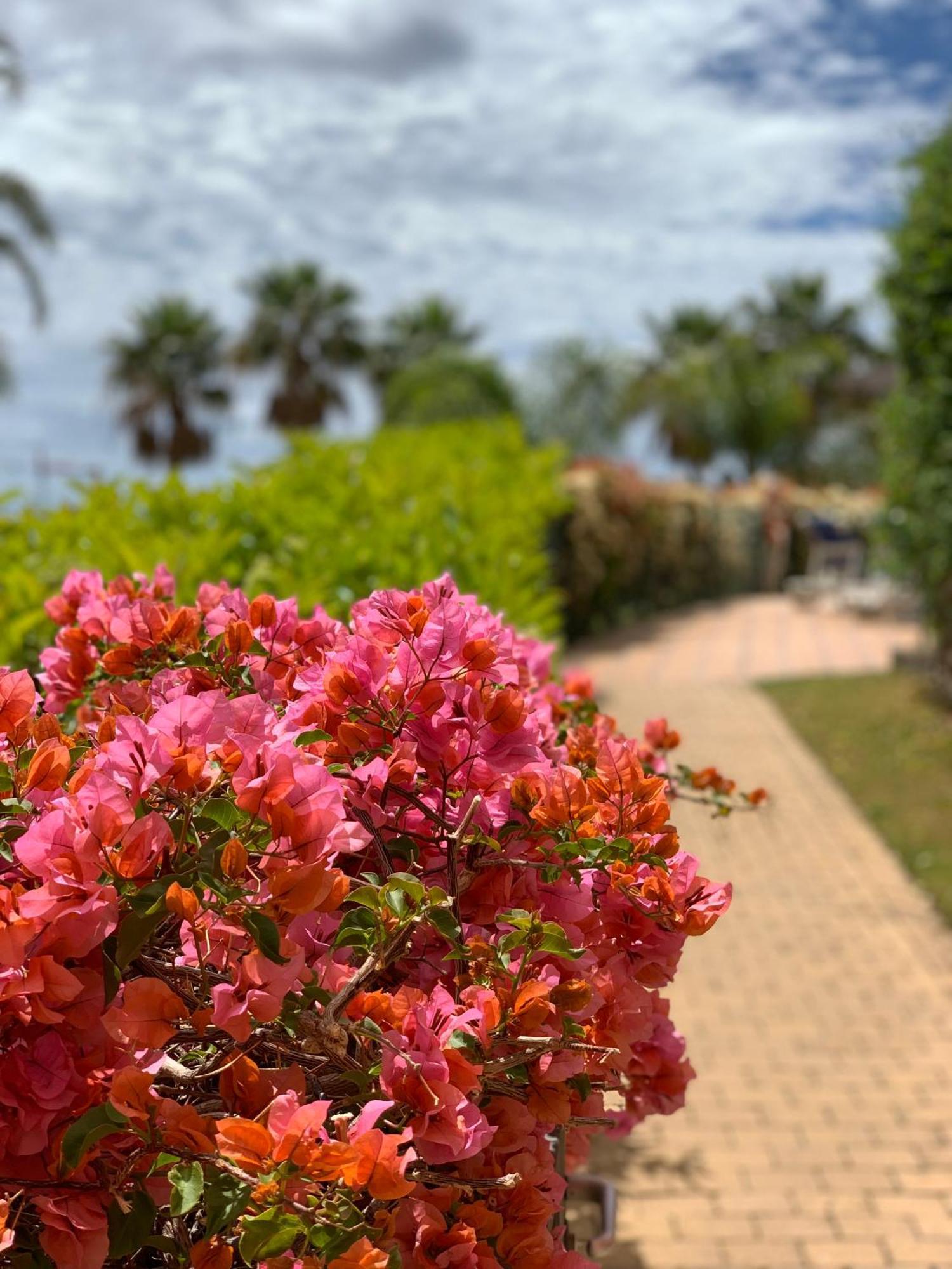 Appartement Your Oasis Of Luxury And Leisure At Gazules Del Sol In Marbella Area - Benahavis Estepona