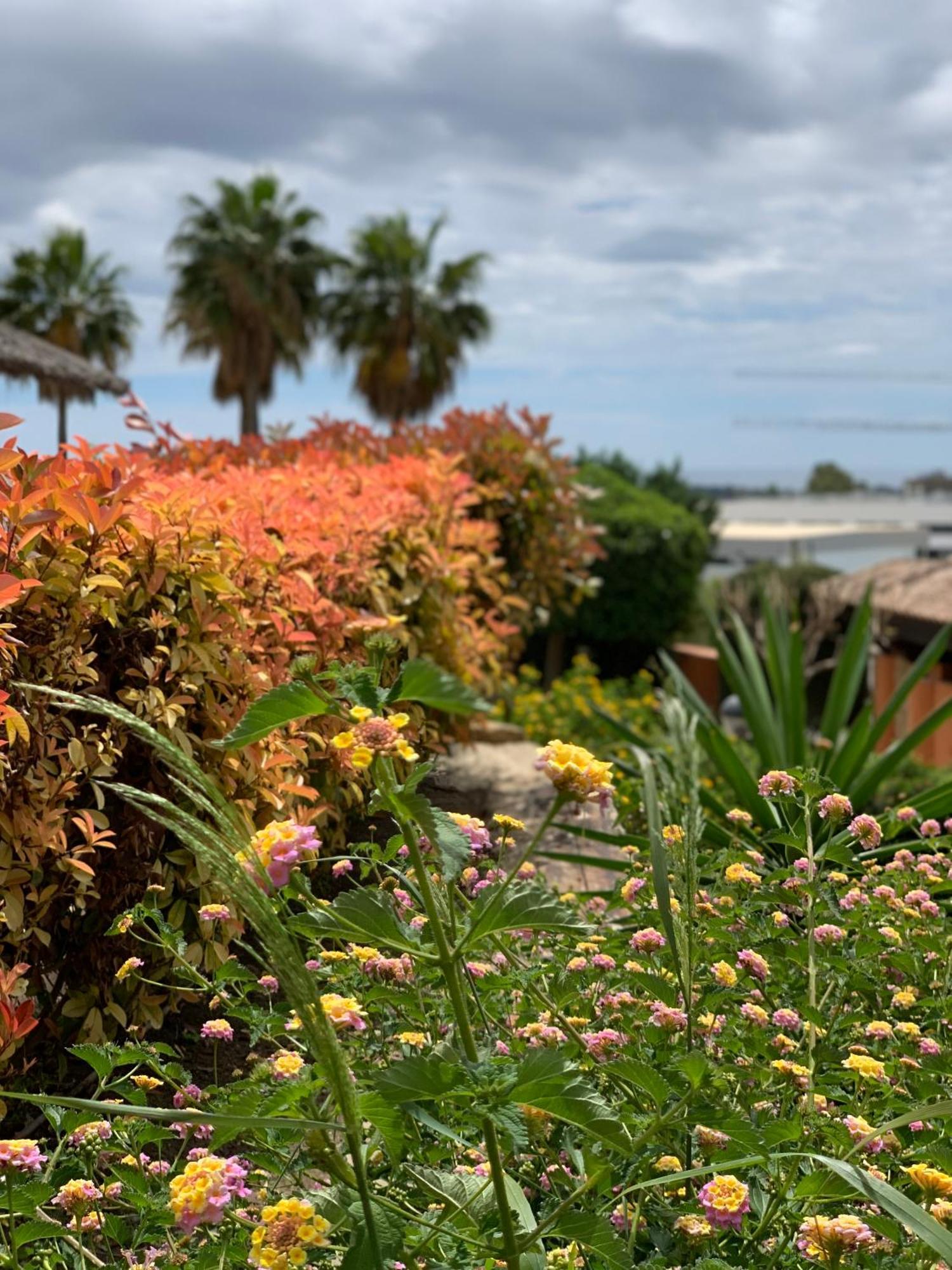 Appartement Your Oasis Of Luxury And Leisure At Gazules Del Sol In Marbella Area - Benahavis *